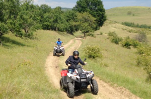 Quad (ATV) Tours